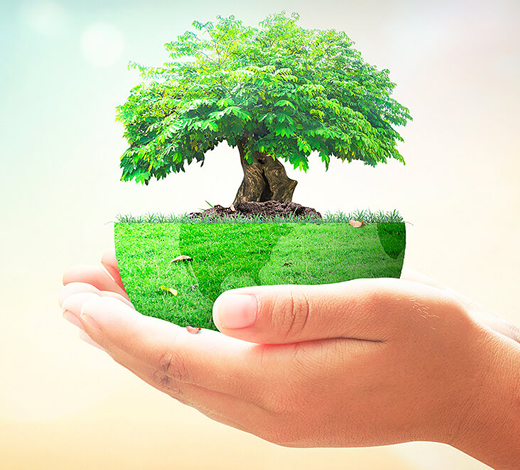 Adres Plastik Geri Dönüşüm